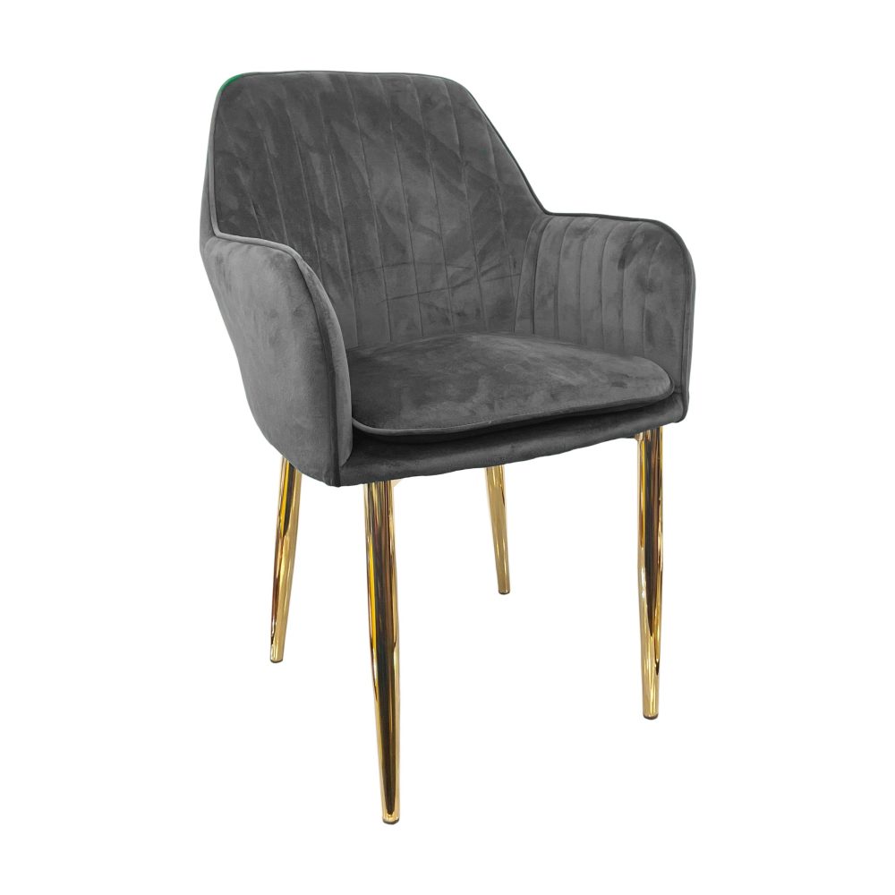 Durant Sustainable Velvet Armchair with Gold Metal Legs - Image 3